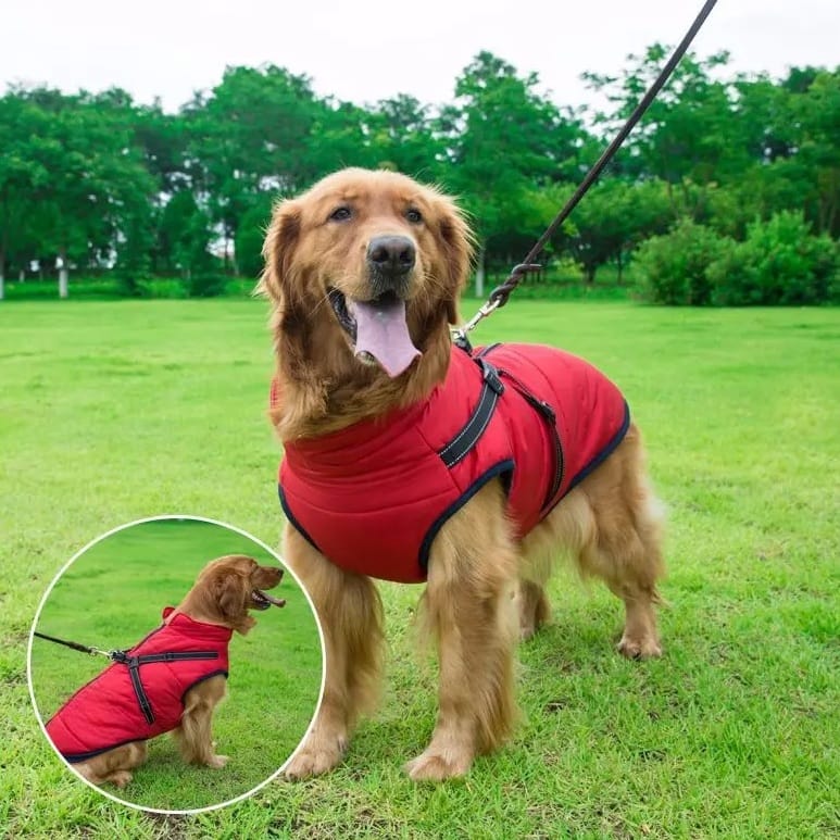 Wasserdichter Hundemantel–Wintermantel Beschreibung 5