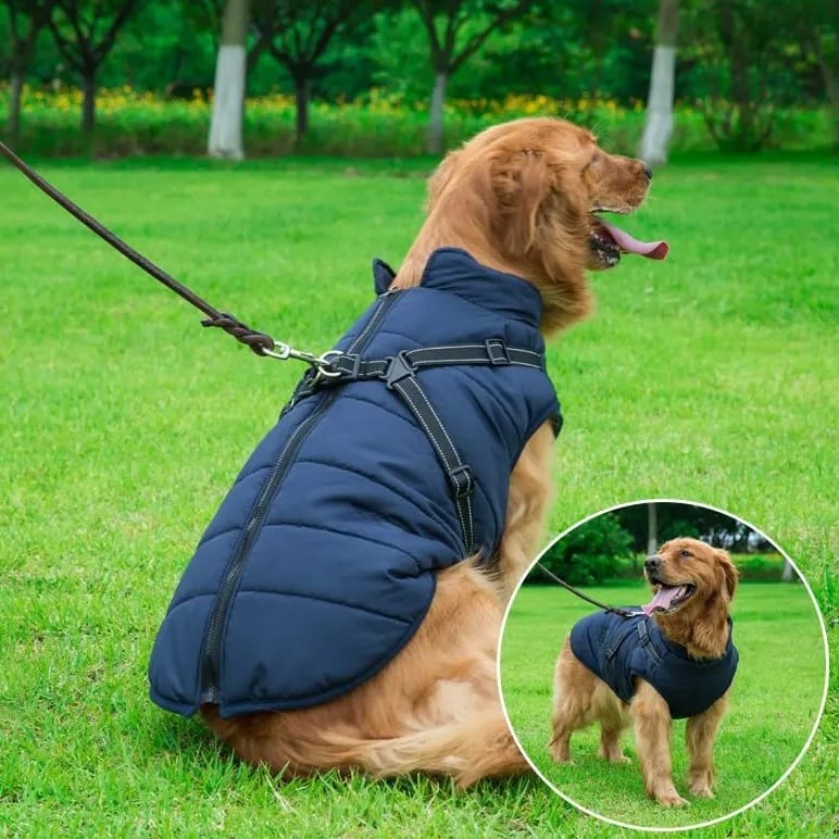 Wasserdichter Hundemantel–Wintermantel Beschreibung 6